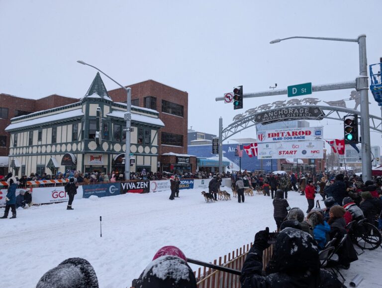 Iditarod Ceremonial Start - 2026