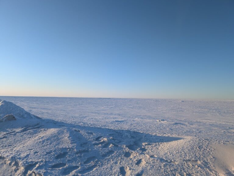 Nome - 2026
