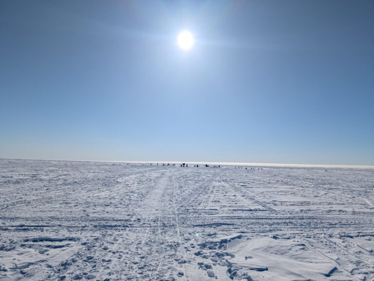 Nome - 2026