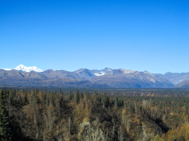 Parks Highway - 2010