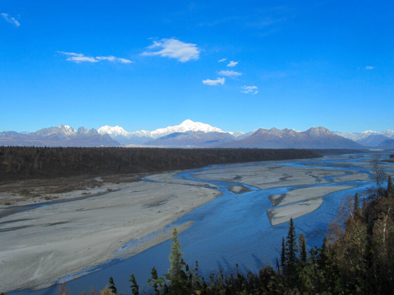 Parks Highway - 2010