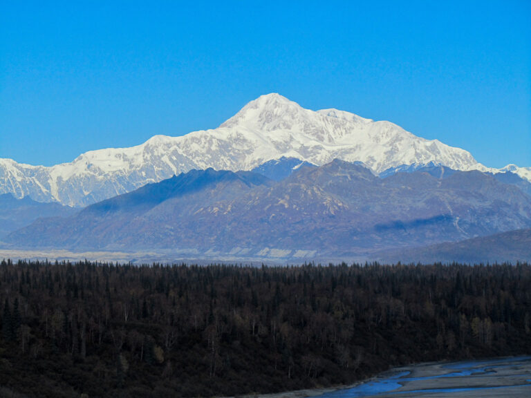 Parks Highway - 2010