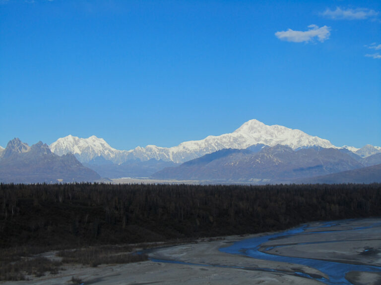 Parks Highway - 2010