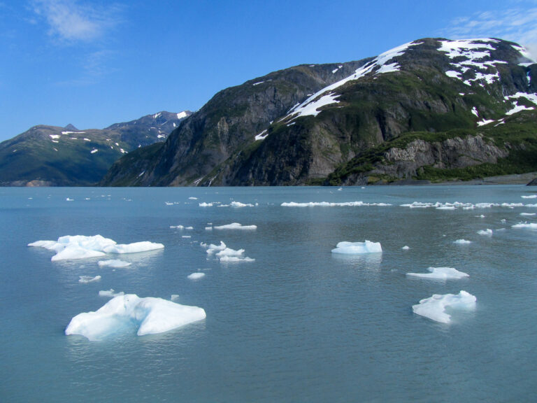 Portage Glacier - 2010