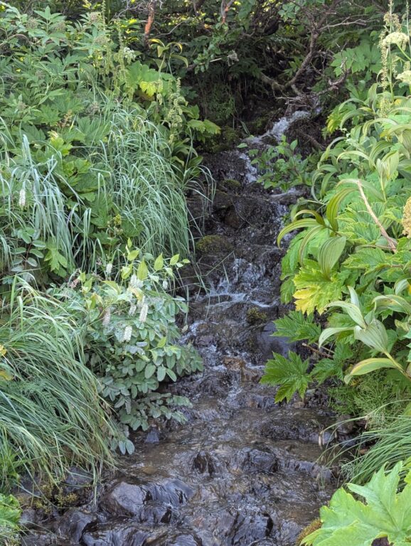 Rabbit Lake Trail - August 2026