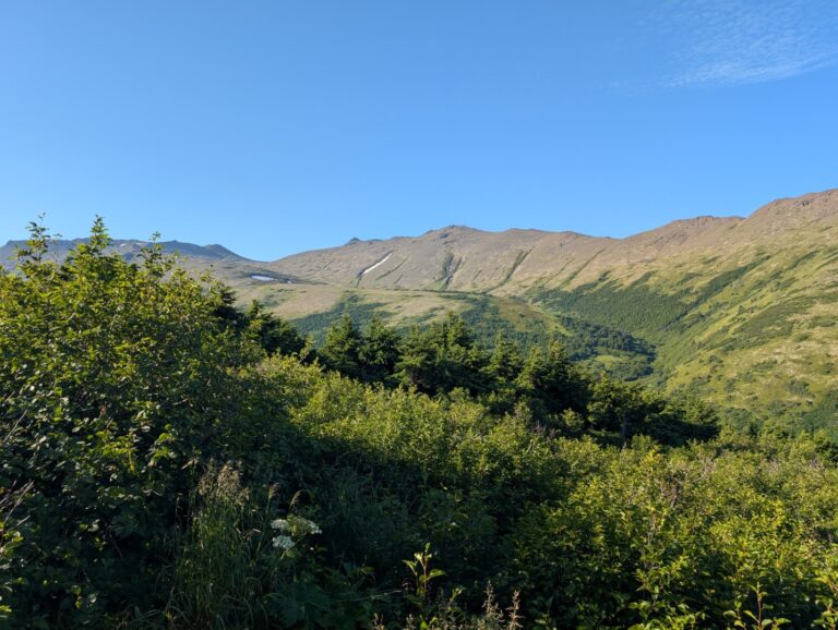 Rabbit Lake Trail - August 2026