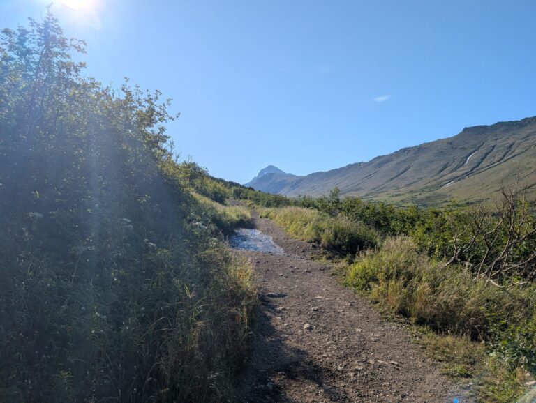 Rabbit Lake Trail - August 2026