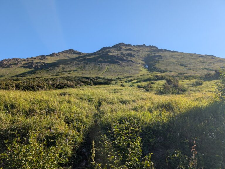 Rabbit Lake Trail - August 2026
