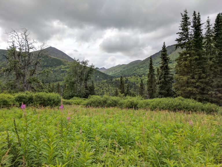 Resurrection Pass Trail - 2017