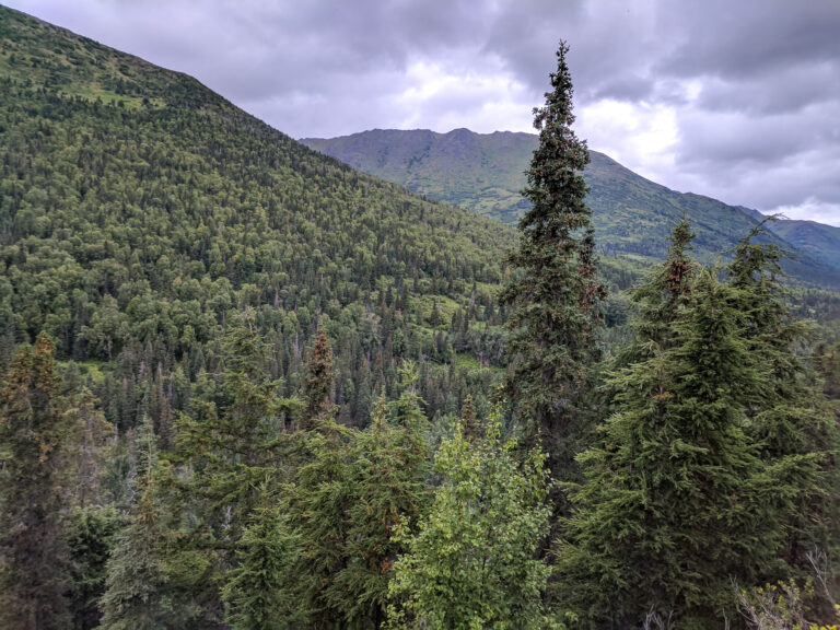 Resurrection Pass Trail - 2017