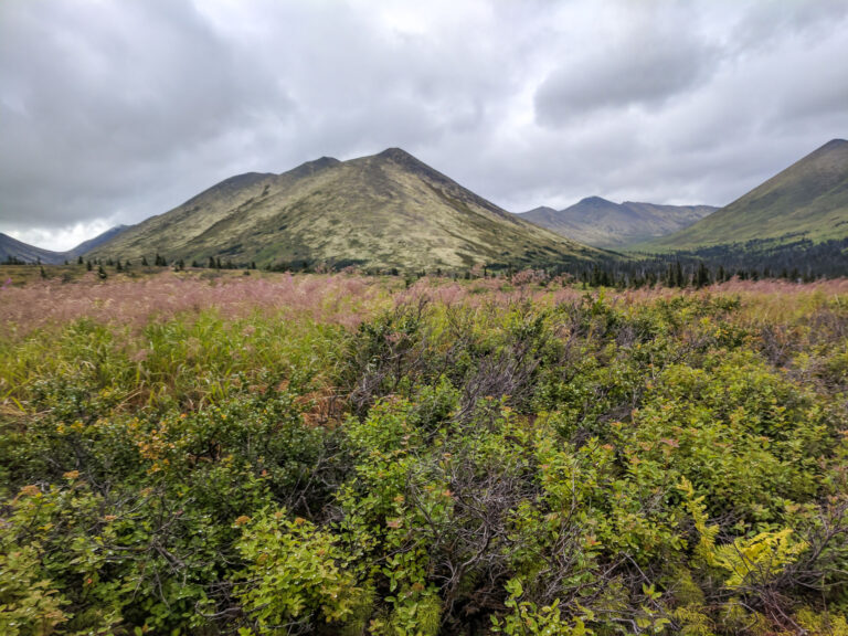 Resurrection Pass Trail - 2017