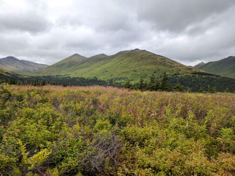 Resurrection Pass Trail - 2017