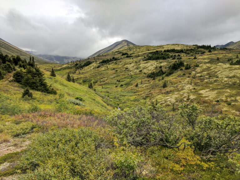 Resurrection Pass Trail - 2017