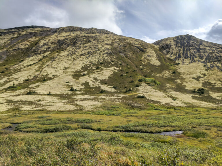 Resurrection Pass Trail - 2017