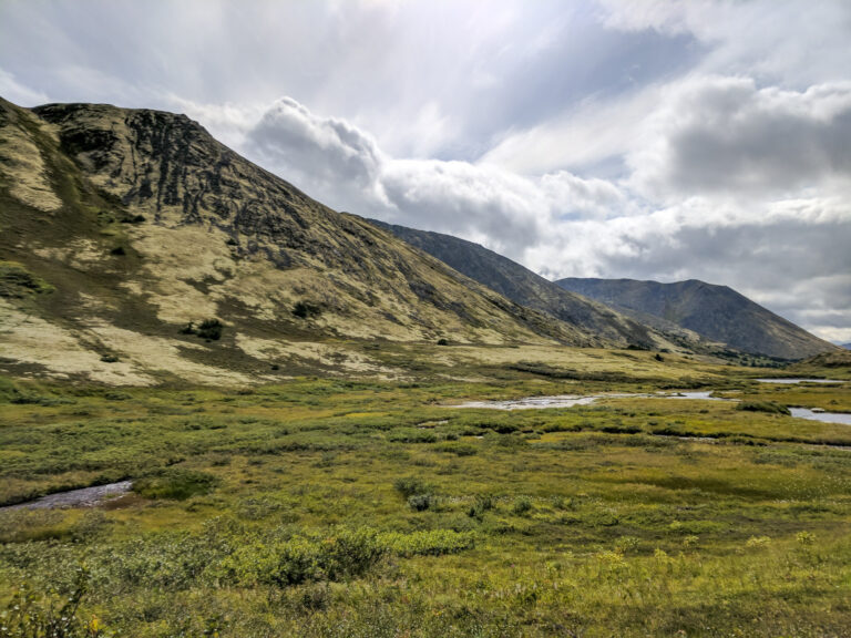 Resurrection Pass Trail - 2017