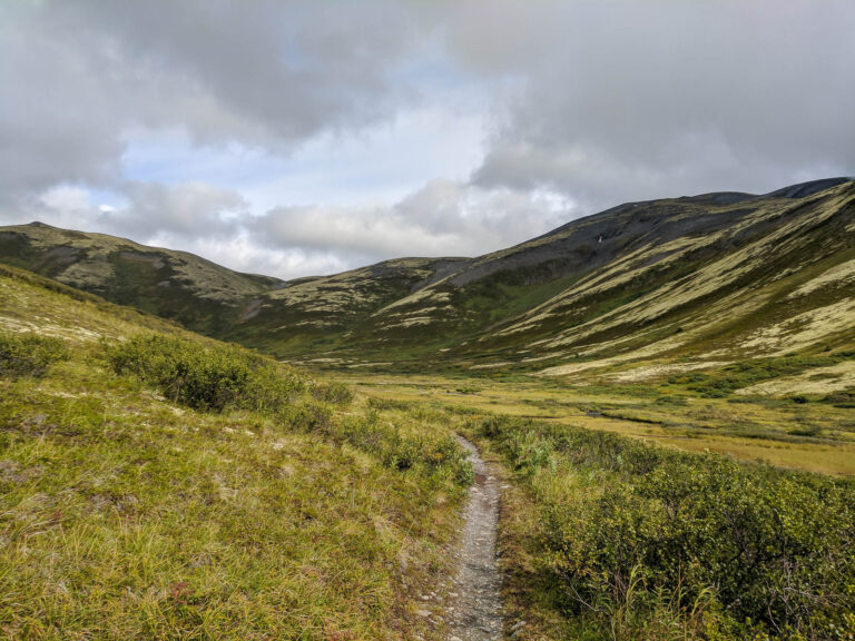 Resurrection Pass Trail - 2017