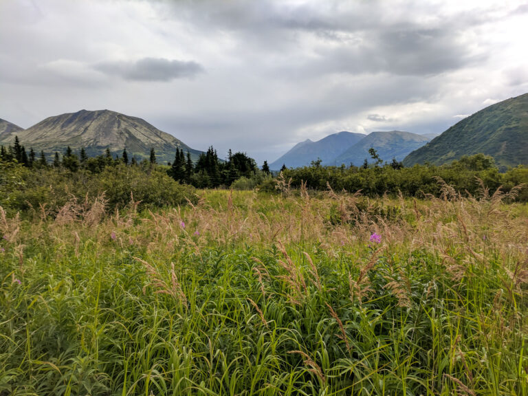 Resurrection Pass Trail - 2017