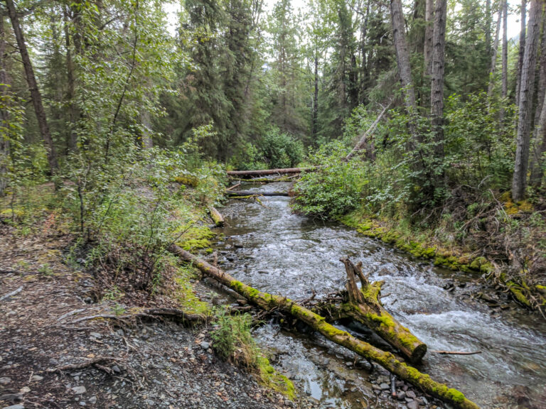 Resurrection Pass Trail - 2017