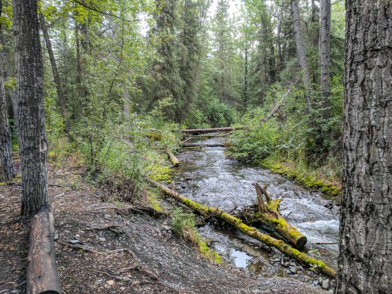 Resurrection Pass Trail - 2017