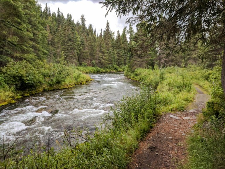 Resurrection Pass Trail - 2017