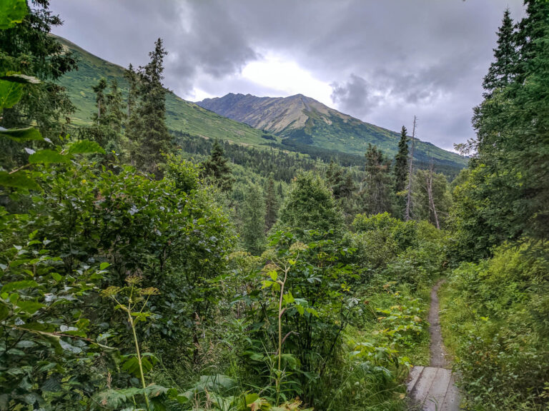 Resurrection Pass Trail - 2017