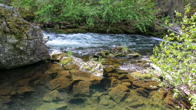 Russian River Falls - 2017