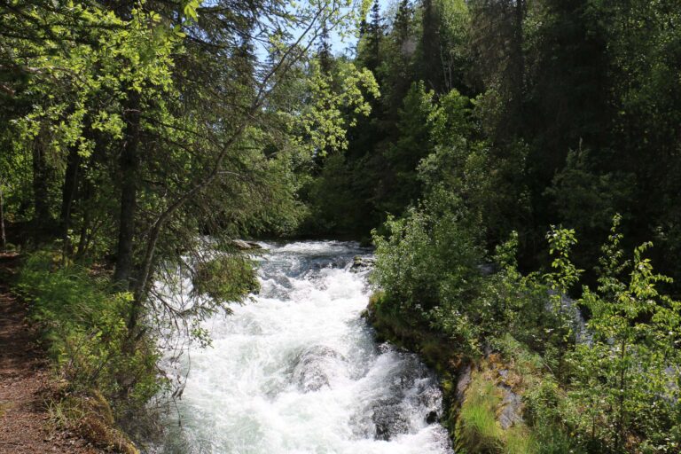 Russian River Falls - 2017