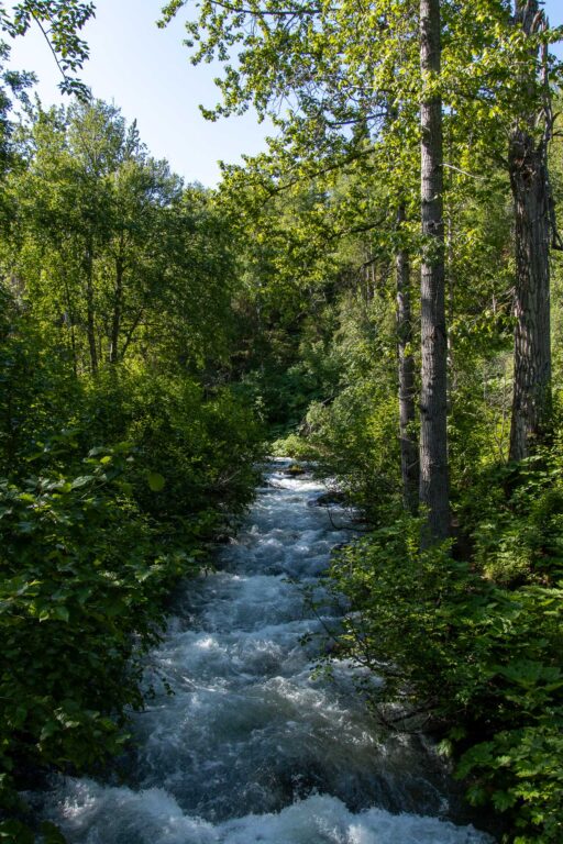 South Fork Falls - 2024