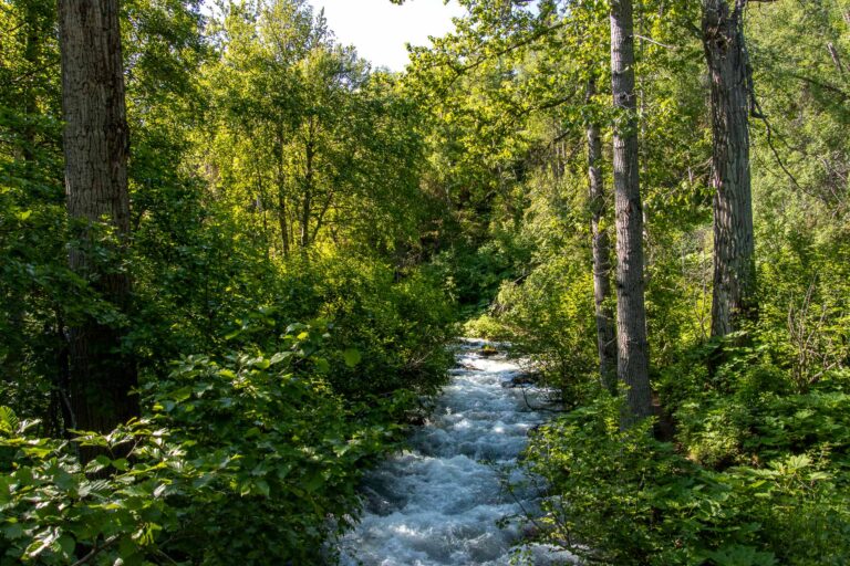 South Fork Falls - 2024