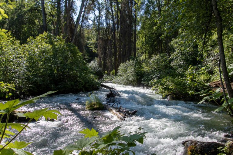 South Fork Falls - 2024