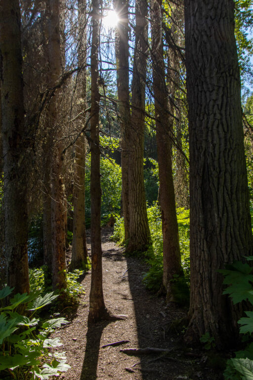 South Fork Falls - 2024