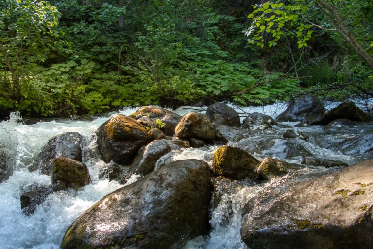 South Fork Falls - 2024