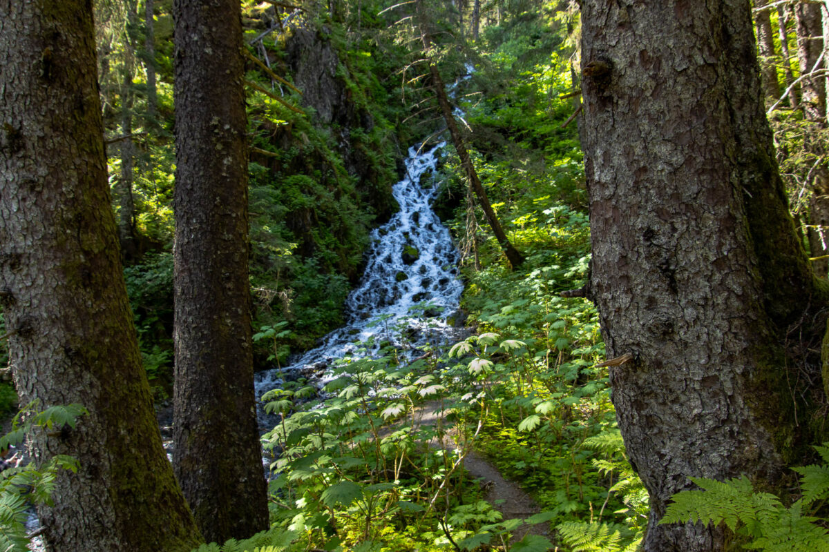 Two Lakes Trail - 2024
