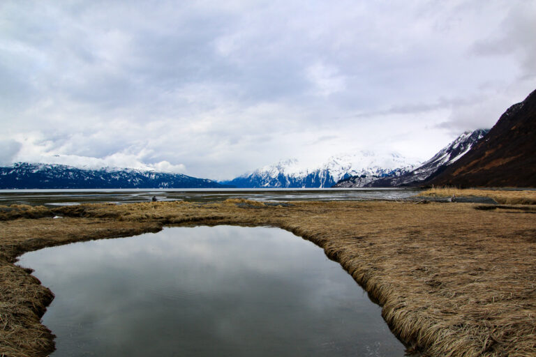 Valdez - 2018