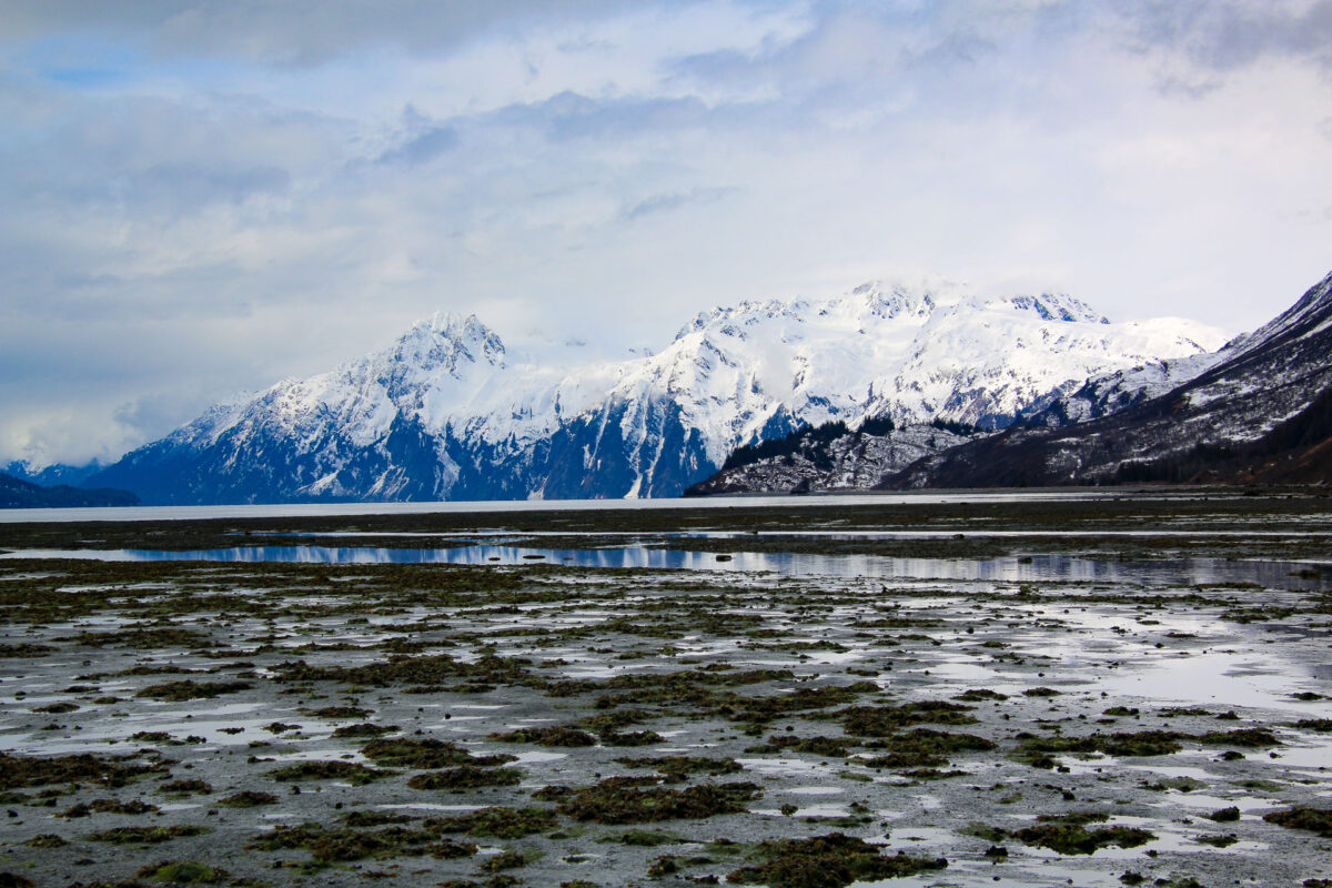 Valdez - 2018