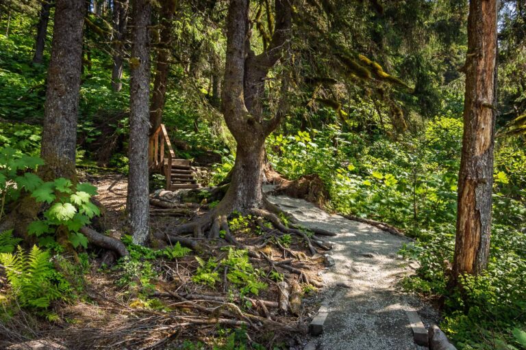 Virgin Creek Falls - 2025