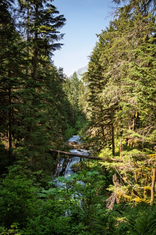 Virgin Creek Falls - 2025