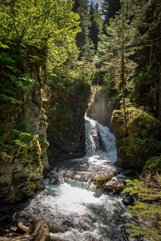 Virgin Creek Falls - 2025