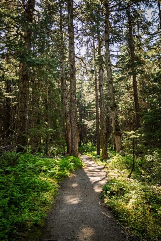 Winner Creek Trail - 2025
