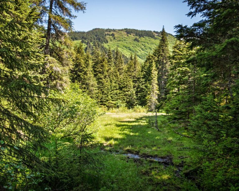 Winner Creek Trail - 2025