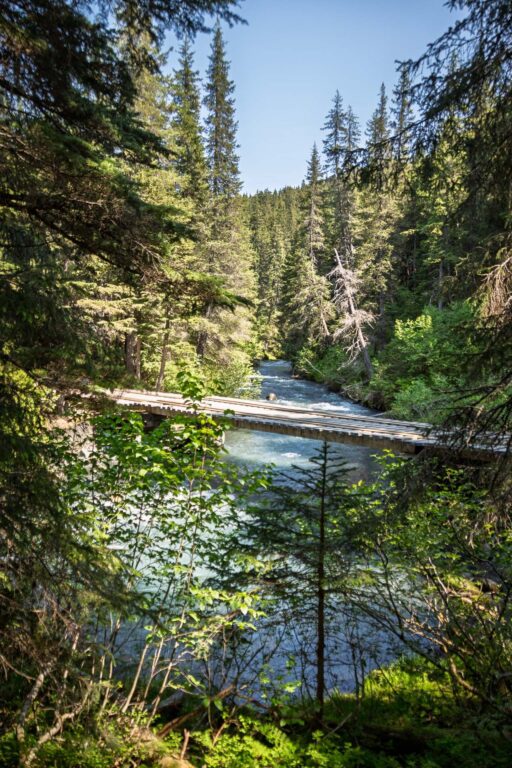 Winner Creek Trail - 2025