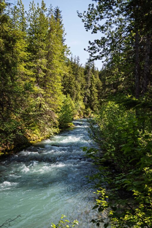 Winner Creek Trail - 2025