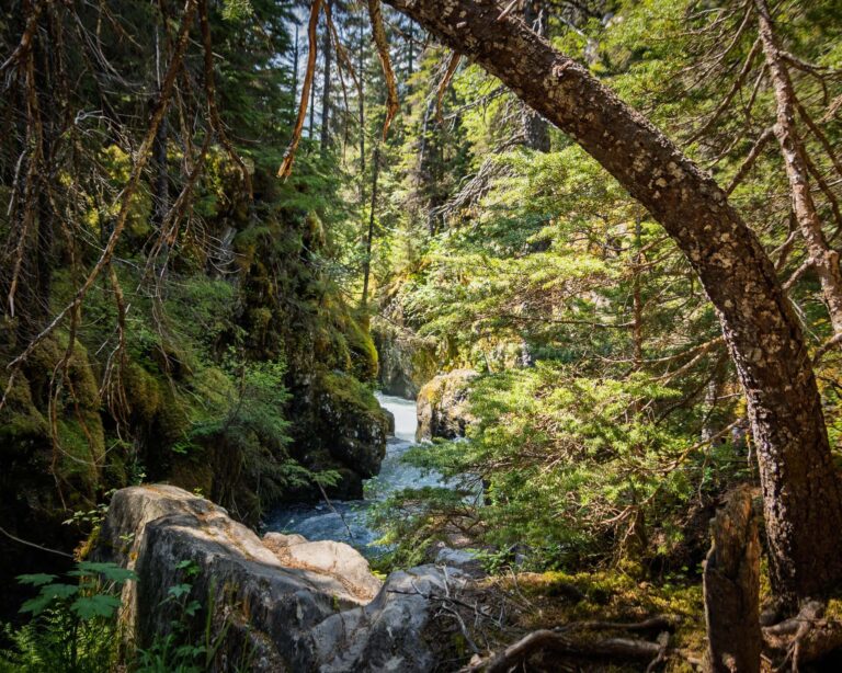 Winner Creek Trail - 2025