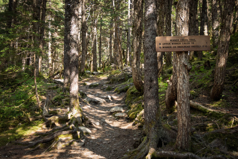 Winner Creek Trail - 2025