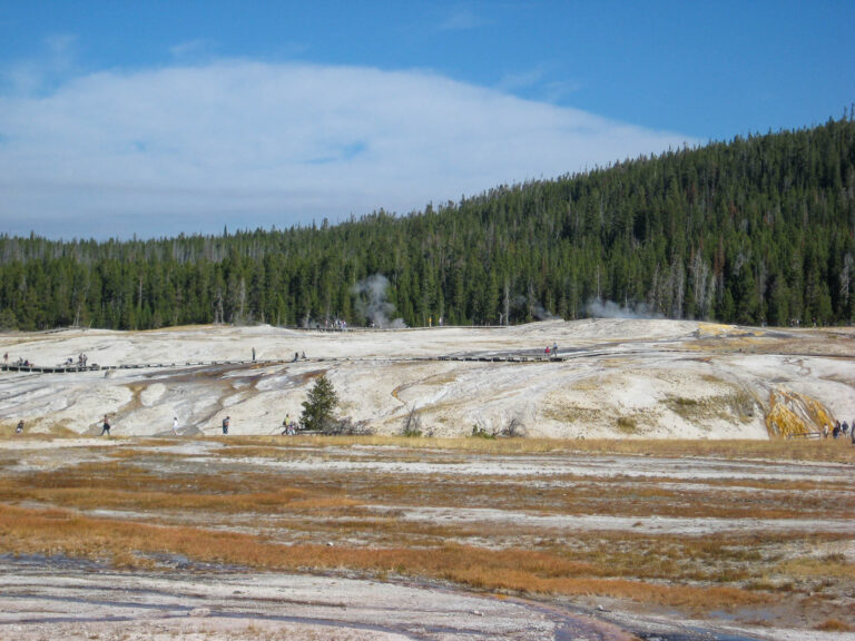 Yellowstone - 2009