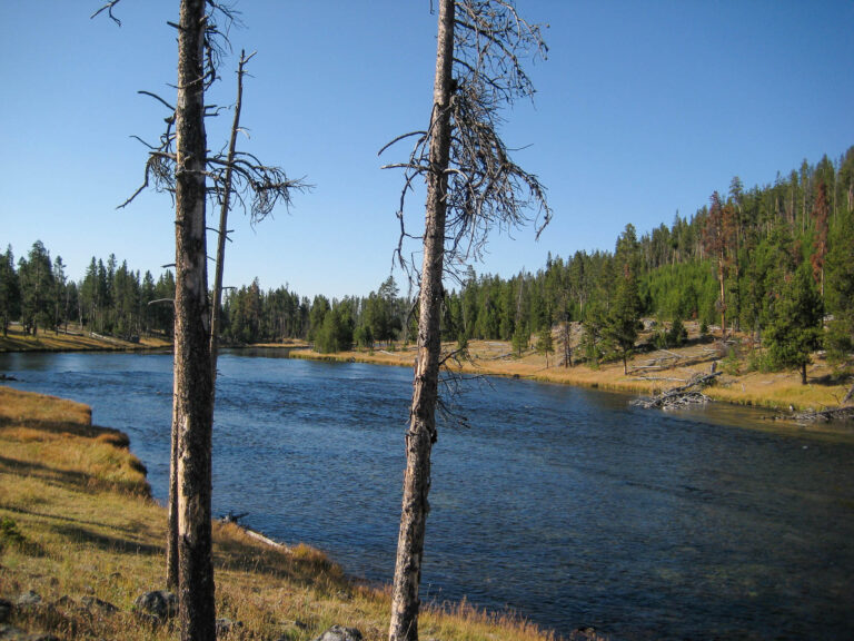 Yellowstone - 2009