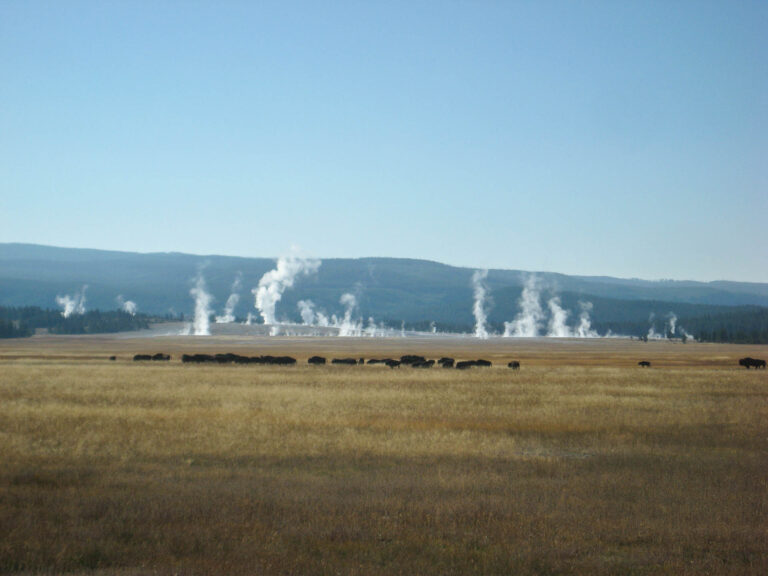 Yellowstone - 2009