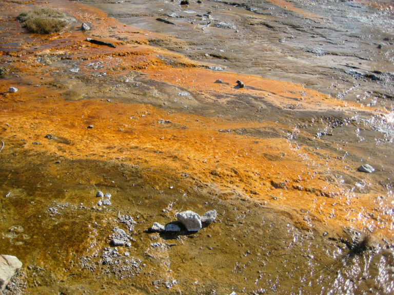Yellowstone - 2009